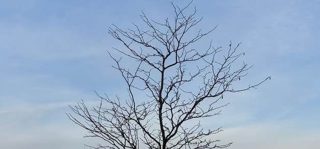 围绕竞技宝手机登录，竞技宝手机登录持续打磨更优质的服务。 - 竞技宝手机登录